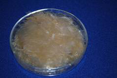 Dried gelatin